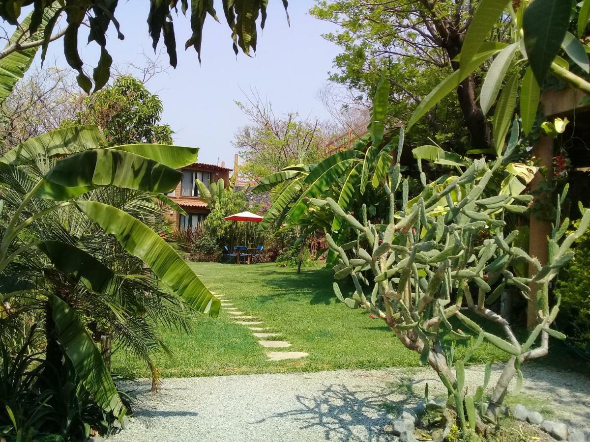 Cabañas el Nido de la Huilota Hotel Tepoztlán Exterior foto